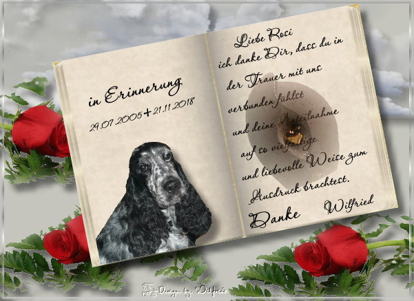 An den Beitrag angehängtes Bild: http://s15.directupload.net/images/181201/vmpd9p8c.jpg