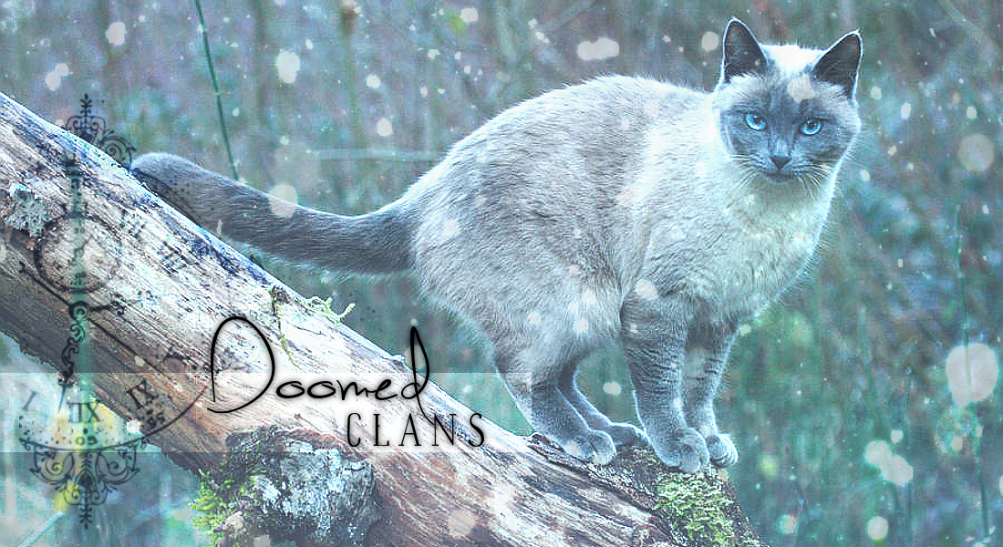 The Doomed Clans
