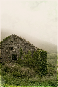 Barangysa-Pakal