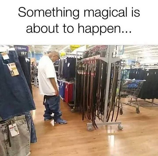 lxl5fwqs.jpg