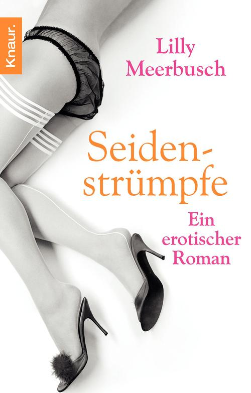 Seidenstrümpfe: Ein erotischer Roman. 