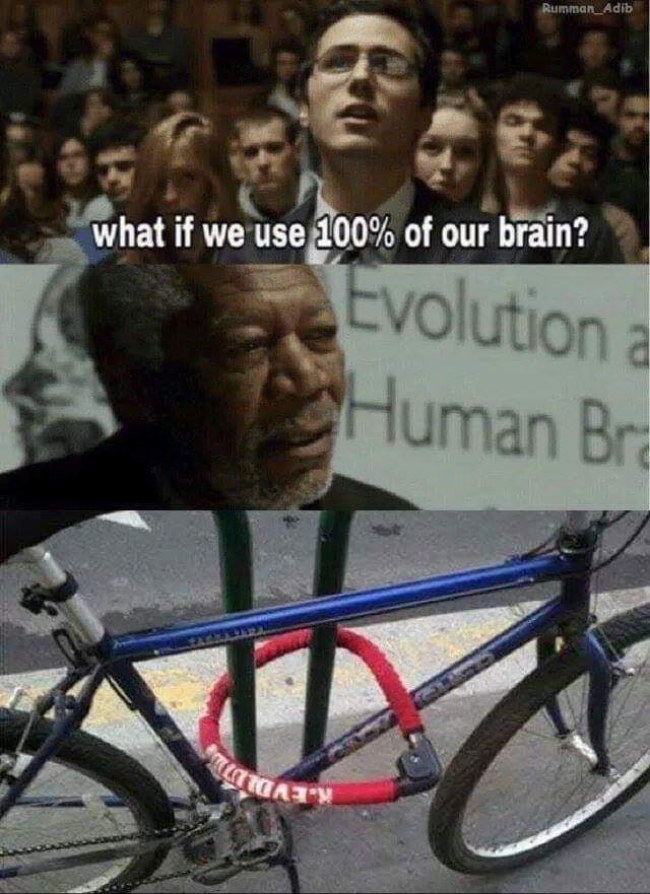 s546ofy2.jpg