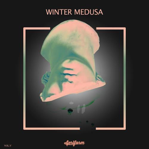 VA - Winter Medusa , Vol. 5 (2019)